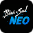 blade and soul neo divine gems
