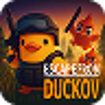 Steam Game Accounts Escape From Duckov