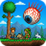 CD Keys Terraria (PC) - Steam Key