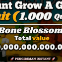 Grow a Garden
