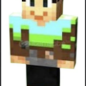 Minecraft Minecoins
