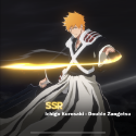 Bleach: Soul Resonance