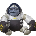 Overwatch