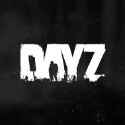 DayZ