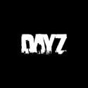 DayZ
