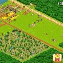 Hay Day