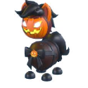 Items