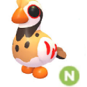 Items