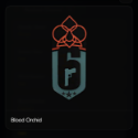 Rainbow Six Siege X