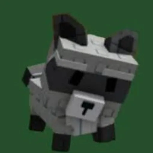 Raccoon
