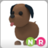 NR Chocolate Labrador Neon Chocolate Labrador CHEAP LEGIT