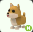 N Shiba Inu