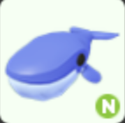 N Blue Whale