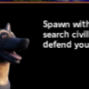 San Diego Border Roleplay