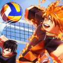 Volleyball Legends