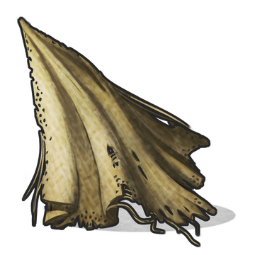 🔥1K Cloth - Valid on every server 🔥 0