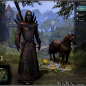 Elder Scrolls Online Gold