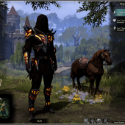 Elder Scrolls Online