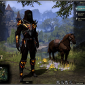 Elder Scrolls Online