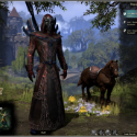 Elder Scrolls Online