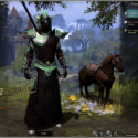 Elder Scrolls Online