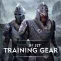 Elder Scrolls Online