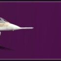 War Thunder
