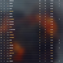 World of Warships