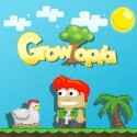 Growtopia Locks