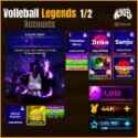 Volleyball Legends