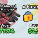 Case Paradise