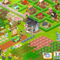 Hay Day