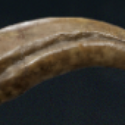 🚀 7 Spinosaurus Claw Fossil/Extracted Value Delivery in Mod Map Raid ⚡ 0