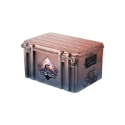 Counter-Strike 2