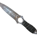 Counter-Strike 2