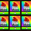 Build a Zoo