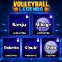 Volleyball Legends