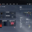 Rainbow Six Siege X Credits