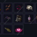 Path of Exile