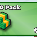 Case Paradise