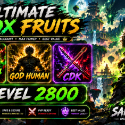 Blox Fruits