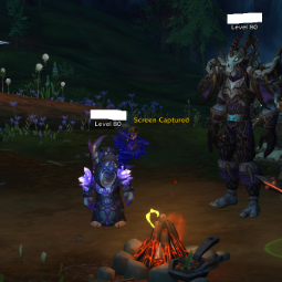 BEAUTIFUL ACCOUNT DRUID 80 / MAGE 80 / HUNTER 80 / PALADIN 80 and MUCH MORE 0