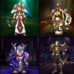 BEAUTIFUL ACCOUNT DRUID 80 / MAGE 80 / HUNTER 80 / PALADIN 80 and MUCH MORE 1