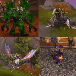 BEAUTIFUL ACCOUNT DRUID 80 / MAGE 80 / HUNTER 80 / PALADIN 80 and MUCH MORE 2