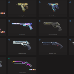 [EU] - SKINS 51 - Protocol 781-A Phantom - EX.O Vandal - Arcane Vandal - Prelude to Chaos Vandal - Reaver Vandal - FULL ACCESS - INSTANT DELIVERY 1
