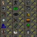 Old School Runescape