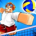Volleyball Legends