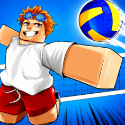 Volleyball Legends