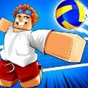 Volleyball Legends