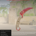 Counter-Strike 2